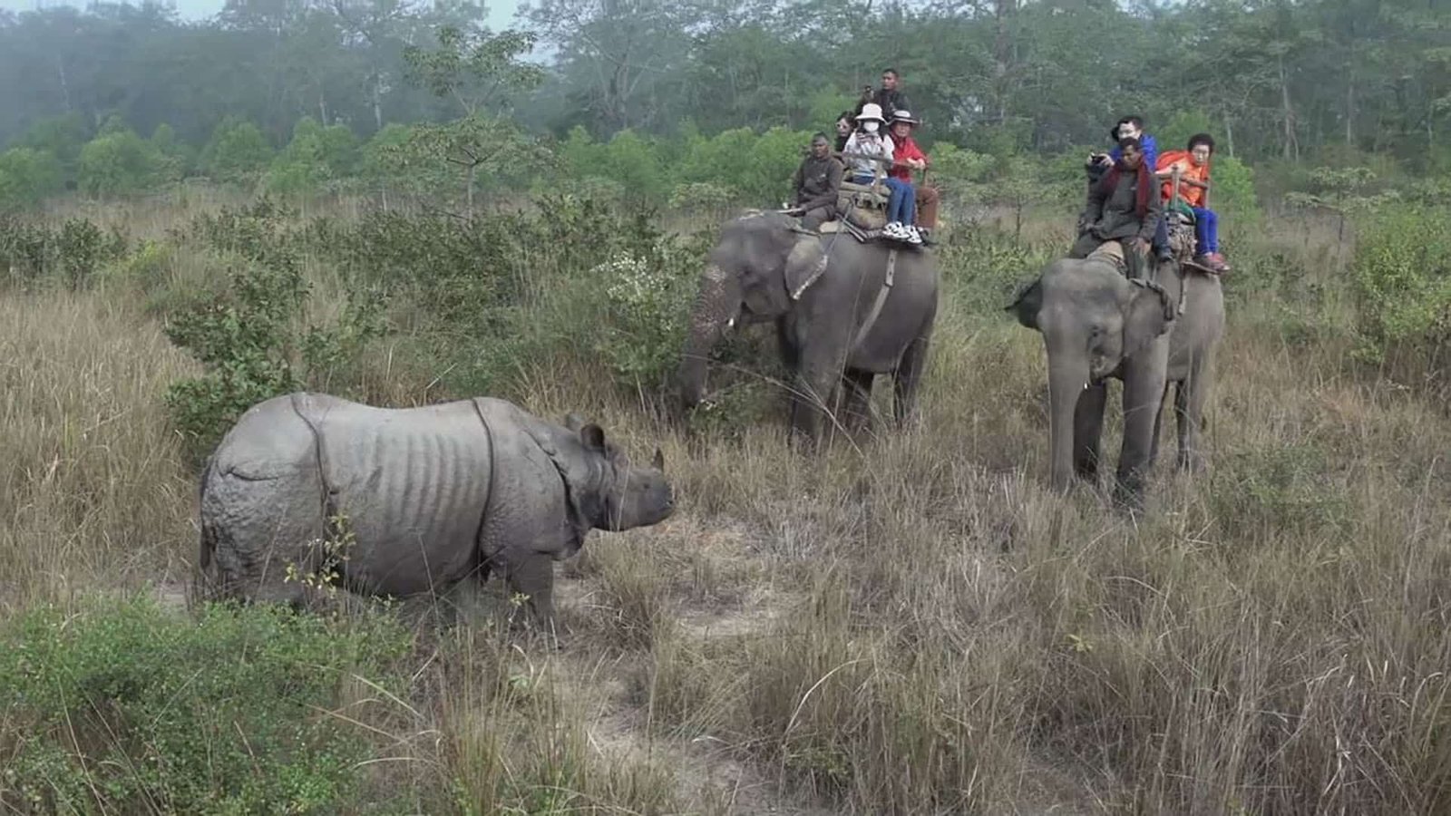 Chitwan Jungle Safari