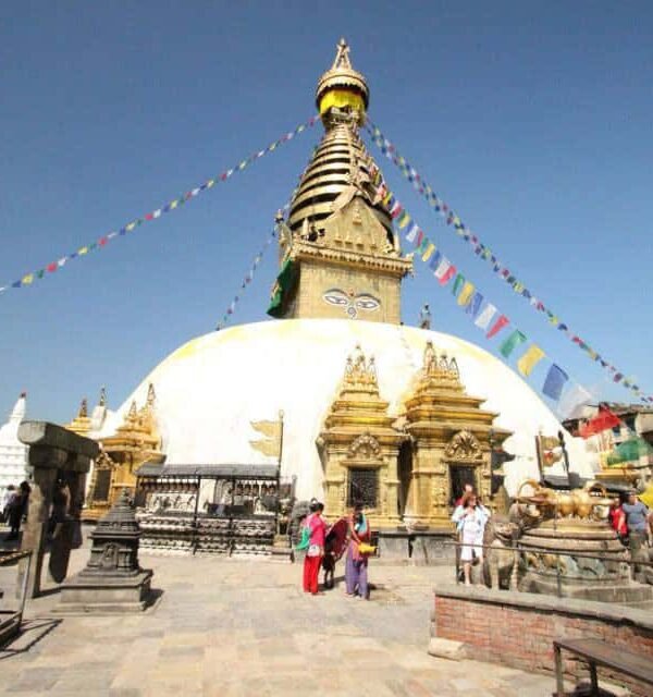 7 night 8 days nepal local guide